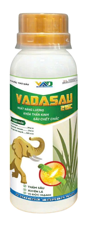 VADASAU 21SC